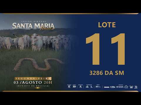 LOTE 11 FSM A3286