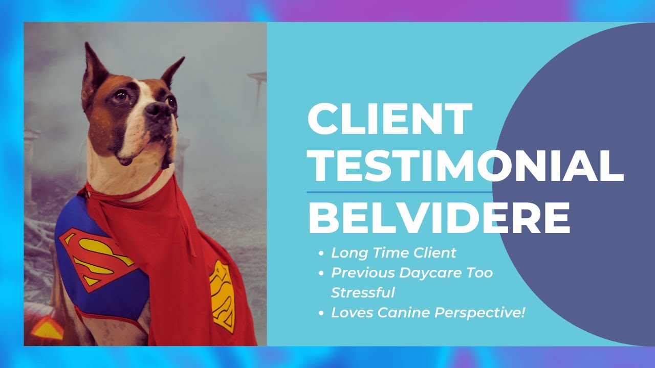 daycare-testimonial-belvidere-previous-daycare-too-stressful-for
