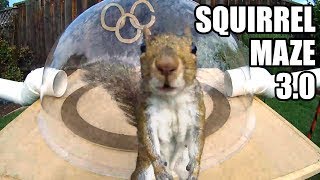 Reacting To Backyard Squirrelympics 3 0  The Summer Games