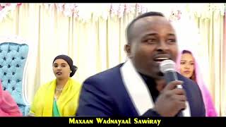 Maxamed Bk Hees Qiso Dhab Ah Qof Weyn Anni Iima Tihid Video Lyrics