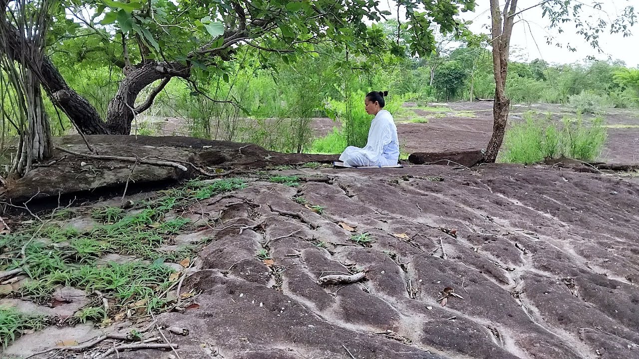 เล่าเรื่องสัตว์เดรัจฉานเข้านิพพานเพระได้ฟังธรรม