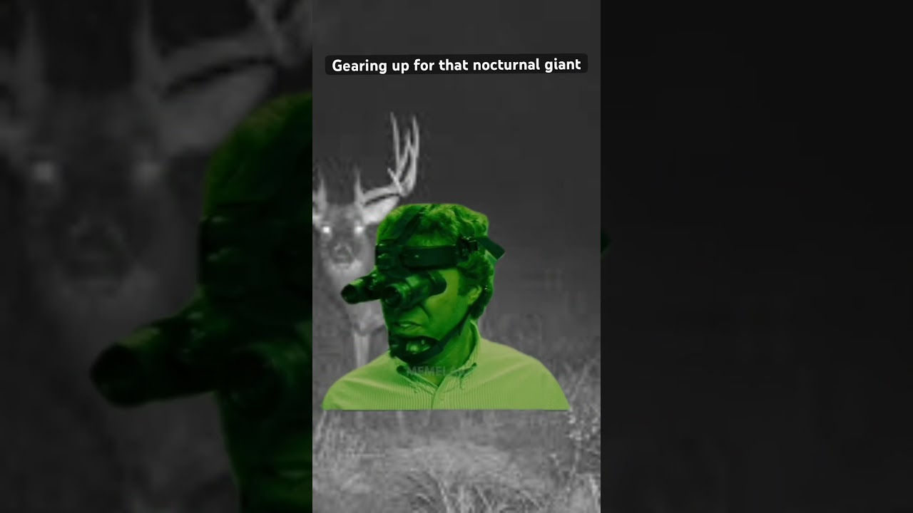 Deer hunting at night 🦌 