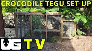 Upgrading Our Croc Tegu Setup