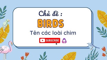 Bé học tiếng Anh - chủ đề tên các loài chim - Birds