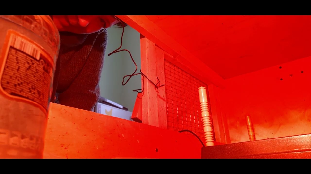 Мы в домике! #подворье #инкубация #цыплята - YouTube