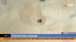 Hundreds of residents of the Krasnoyarsk Territory fell ill with encephalitis, borreliosis, and t...