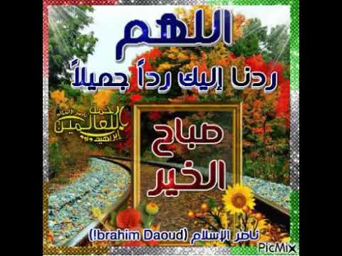 صباح الورد والسعاده والصحه والريحان والياسمين