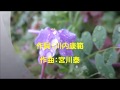 花と涙(森進一)coverなつみ