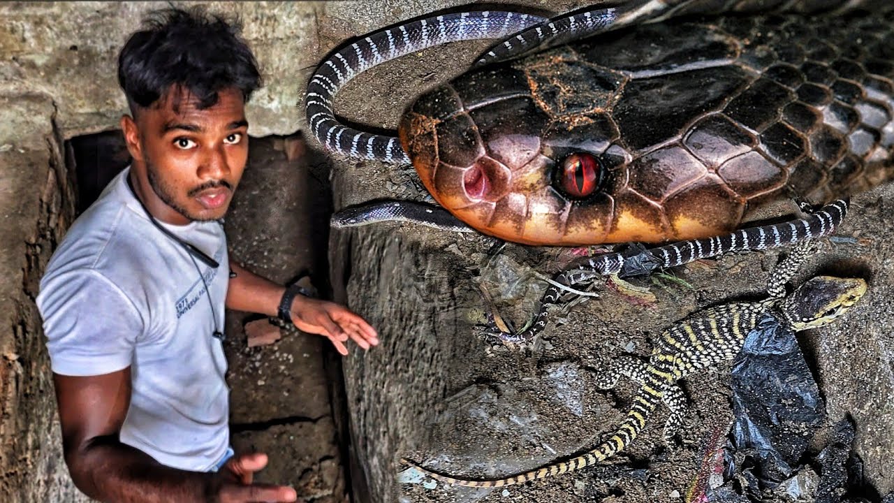 मिल गया रात का दानव जिसके साथ था बिछखोपडा😱 जिसे देख लोगों की रूह कांप गई। फिर देखिए इस का क्या हुआ।