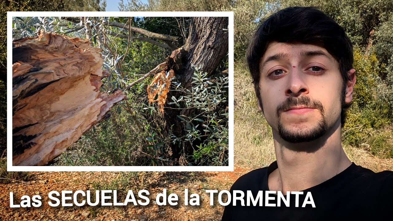 LLEGA LA PRIMAVERA A LA FINCA [La mejor estación del año] 🌻✨