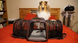 Ardorfun Expandable Pet Carrier Unboxing And Review! by Creative Diamond Dogs 36 views 1 year ago 5 minutes, 48 seconds