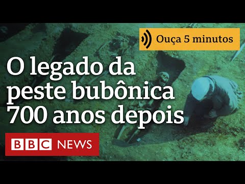 Como a peste bubônica de 700 anos atrás ainda afeta nossa saúde hoje em dia