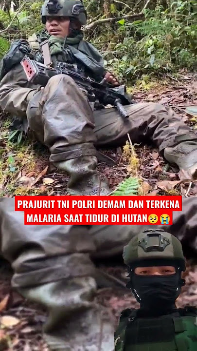 KAMI BUTUH OBAT MALARIA!!! #shortvideo #intel #tniindonesia #tni #kopassus #trending #sniper #army
