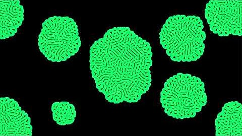 Reaction Diffusion with various parameters (openframeworks)