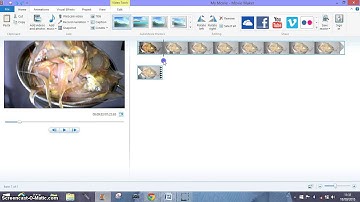Video - How to Extract Photos from Video Using Windows Movie Maker