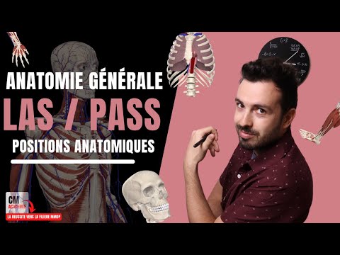 Vidéo: Pourquoi les termes directionnels anatomiques sont-ils importants ?