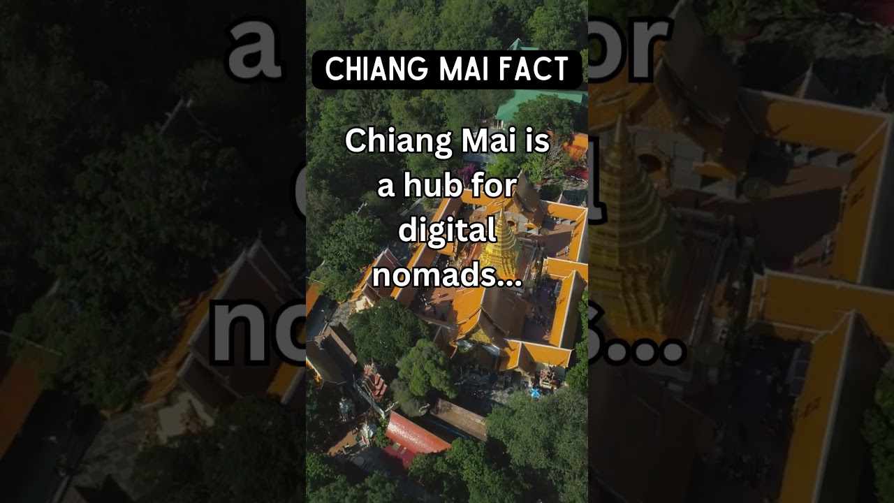 Chiang Mai: Nomad paradise! 🌍 