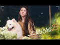 المسلسل الصيني قابل ذاتك Meet Yourself حلقة 23 مترجم عربي نوع رومانسي درامي 