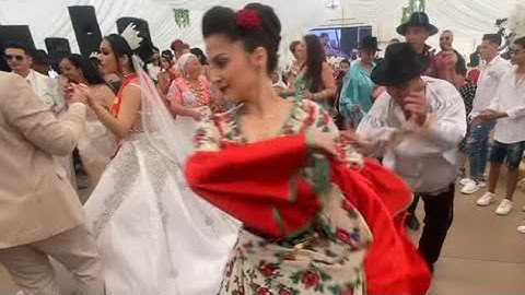 AȘA SPECATACOL LA NUNTĂ N-AM MAI VĂZUT TONI DE LA BRAȘOV ȘI DANSATOARE ȚIGĂNEȘTI‼️