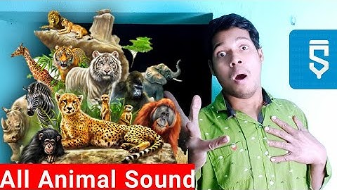 All Animal sound project in sketchware #AndroidAppdeveloper #sketchware #Aauraparti