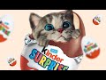 My Favorite Cat Little Kitten Adventure  - Play Fun Cute Kitten Care Games For Kids Adventure #454