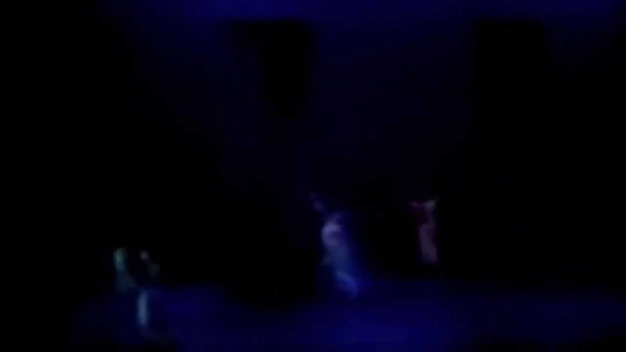 DNB -- Jocose (1984) by Hanya Holm