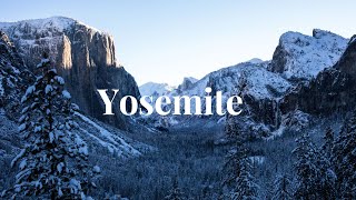 Winter Snow in Yosemite National Park  (1 Day Adventure)
