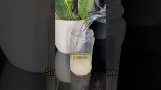 Güçlü Kemi̇k Ve Di̇şler İçi̇n