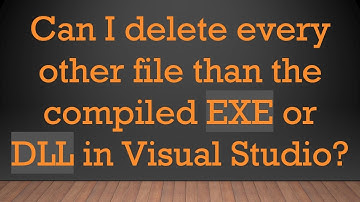 Can I delete every other file than the compiled EXE or DLL in Visual Studio?