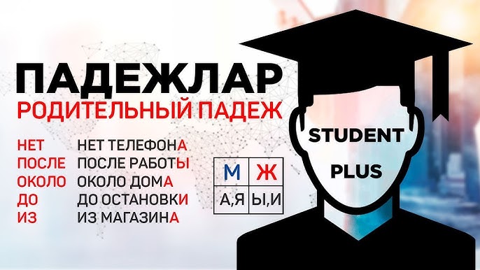 Ayol mushukining yaqindan olingan videosi