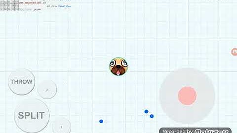 BLOB.IO SELF FEED TAKEOVER