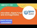 How to make IGNU ASSIGNMENT July session 2024 to 2025/ assignments code BBYCT 131
