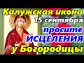 ПРОСИТЕ ИСЦЕЛЕНИЯ ОТ БОЛЕЗНЕЙ . Сильная молитва Калужской Иконе Божией Матери в праздник 15 сентября