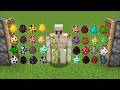 all spawn eggs + iron golem = ???