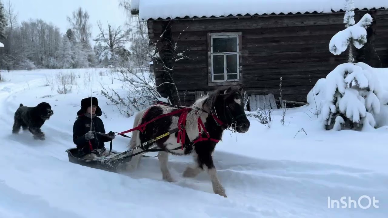 11 января 2026 г.