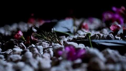 English Touring Opera: The Rape of Lucretia Teaser Trailer