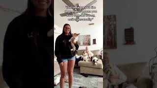 763 🫣🎁I have 5 yes #fyp #dogs