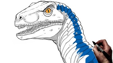 How To Draw A Velociraptor (Blue) | Step By Step | Jurassic World