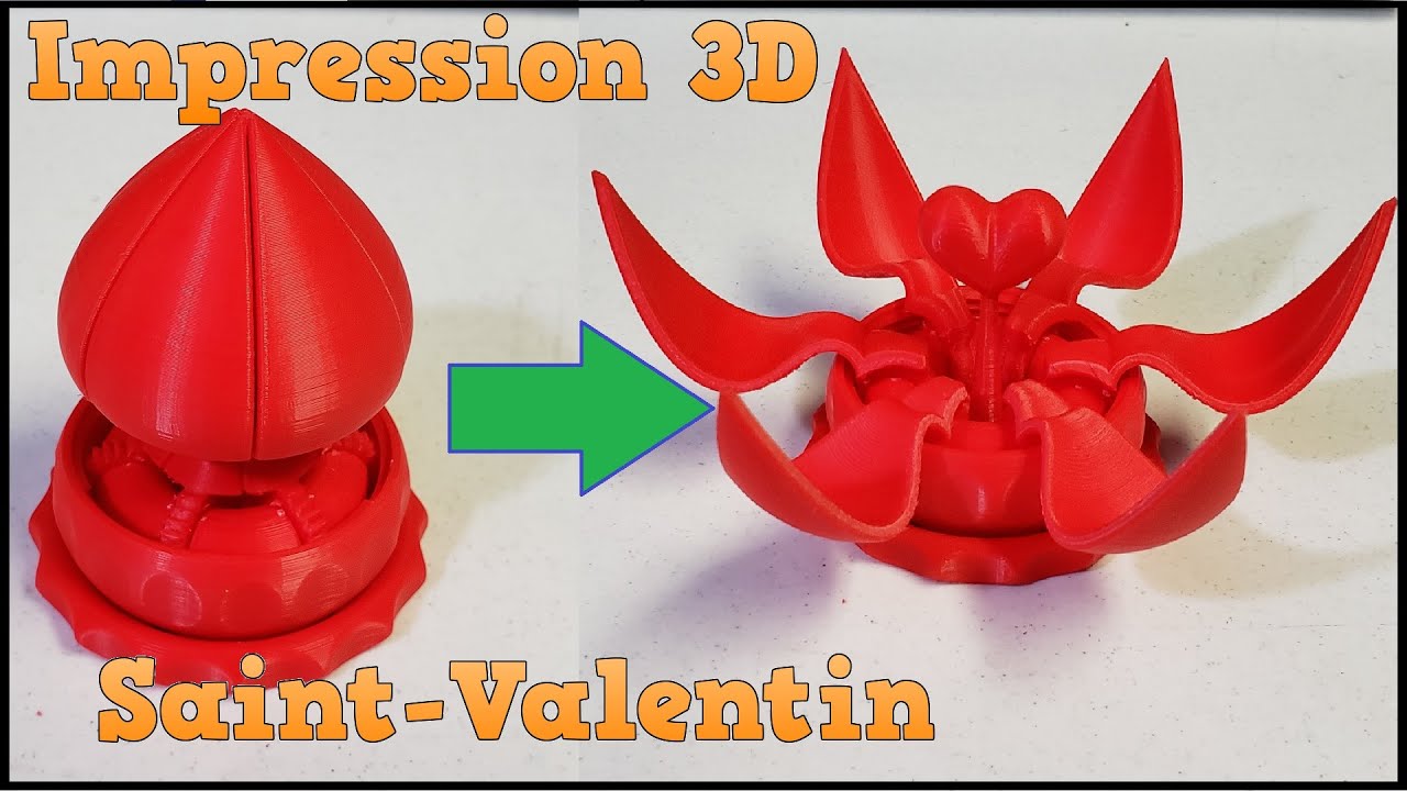 Impression 3D pour la SaintValentin ! Valentines Day Blooming Flower