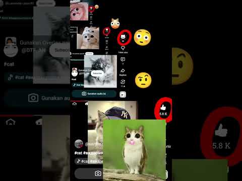 cat emoji in the like...#видосыоткота #мем #meowl #cat #cute