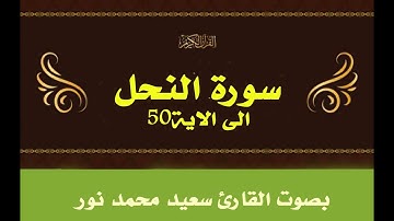 سورة النحل بصوت القارئ سعيد محمد نور(31 دقيقة) ولاتنسونا بخالص دعاءكم في التعليقات🤲