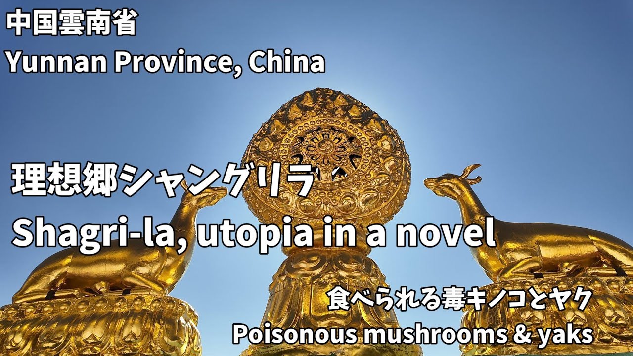 【中国雲南省】失われた地平線、シャングリラ～Lost Horizon, Shangri-la