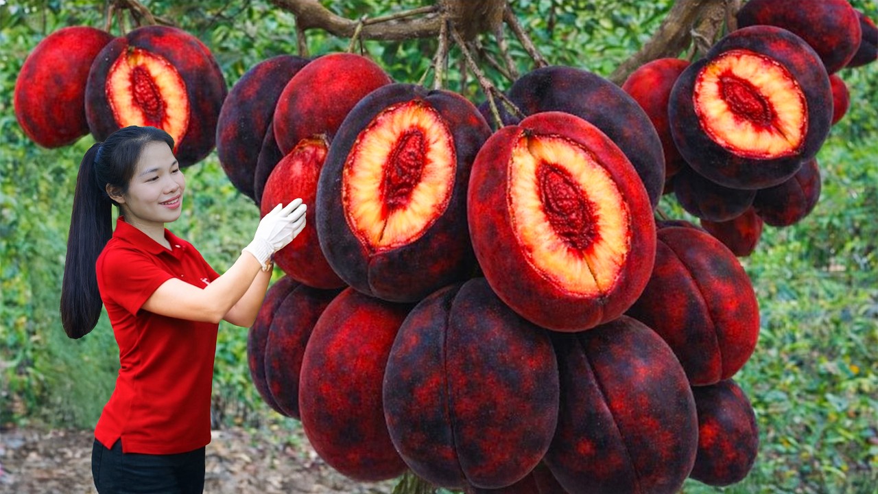 FULL VIDEO: Harvesting Many Tropical Fruits & Selling at the Rural Market | Simple Rural Girl Life