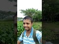 Please make a beautiful video with this picture. I am boating in the middle of the beel.