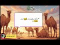 تفسير سورة الغاشية -88