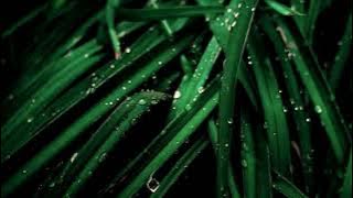 Better than Chocolate | Vlog Music | No copyright