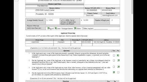 SBA Paycheck Protection Plan Borrower Application Form Walk through