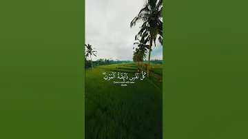 يا عبادي الذين امنوا ان ارضي واسعة القارئ عبد الرحمن مسعد 