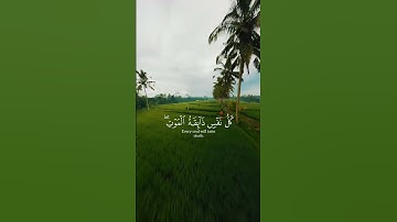 يا عبادي الذين امنوا ان ارضي واسعة - القارئ { عبد الرحمن مسعد }