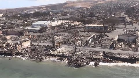 Ohio Task Force 1 activates K-9 teams to assist following Maui wildfires